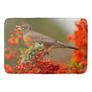 Tapis De Bain Robin américain avec Pyracantha Pomme