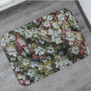 Tapis De Bain Sedum Spathulifolium Succulents Floral