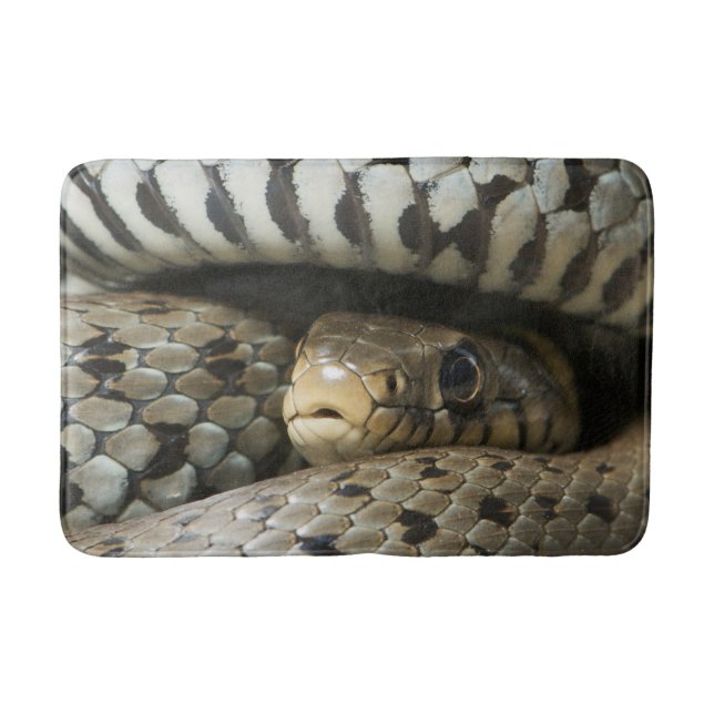 Tapis De Bain Serpent (Devant)