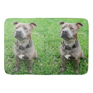 Tapis De Bain Staffordshire Bull Terrier Assis À L'Attention,