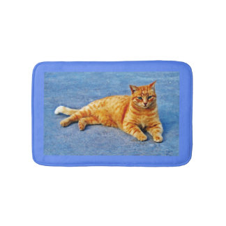 Tapis De Bain Tapis de chat !