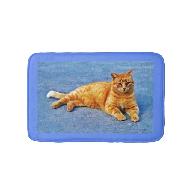 Tapis De Bain Tapis de chat ! (Devant)