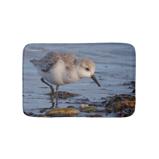 Tapis De Bain Un Sanderling (Devant)