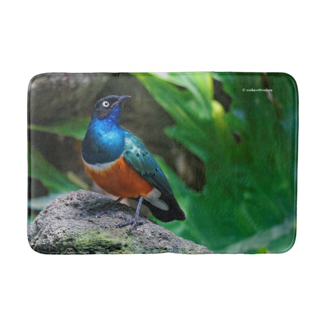 Tapis De Bain Un superbe Starling Africain (Devant)