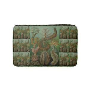 Tapis De Bain Vers vintages Annelids Chaetopoda par Ernst Haecke