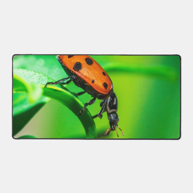Tapis de bureau coccinelle | Esthétique de l'espac (Recto)