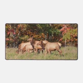 Tapis de bureau Elk
