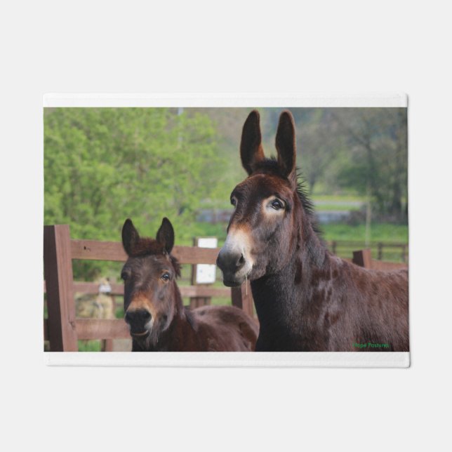 Tapis de porte de petit pain et de Cocos (Devant)