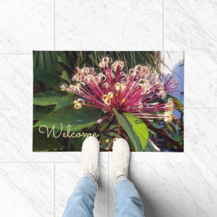Tapis de porte Fleurs de Clerodendrum Starburst