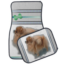 Chien de Poméranie