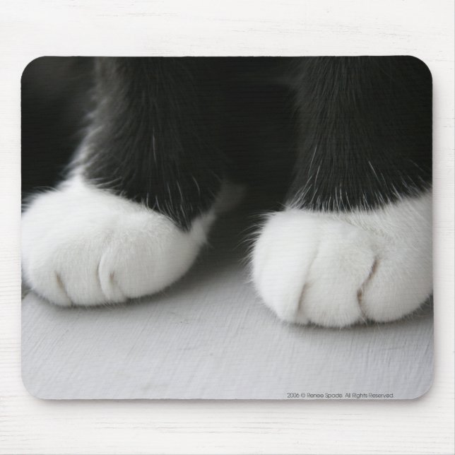 Tapis de souris (Devant)