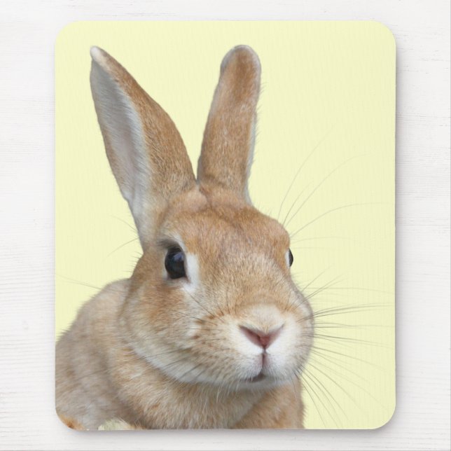 TAPIS DE SOURIS ウサギの顔 (Devant)