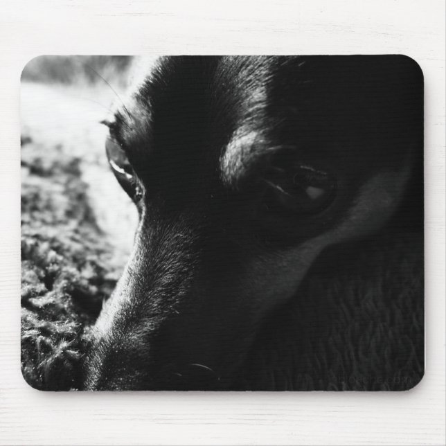 TAPIS DE SOURIS ミニチュアピンシャー マウスパッド (Devant)