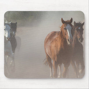 Tapis De Souris 0800-Mustangs sauvages en course