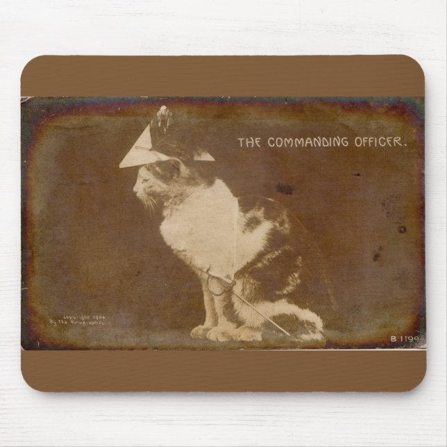 Tapis De Souris 1906 L'officier commandant habillé chat RPPC (Devant)