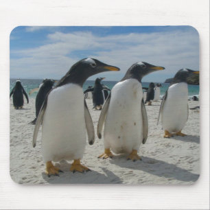 Tapis de souris 19 d'oiseau