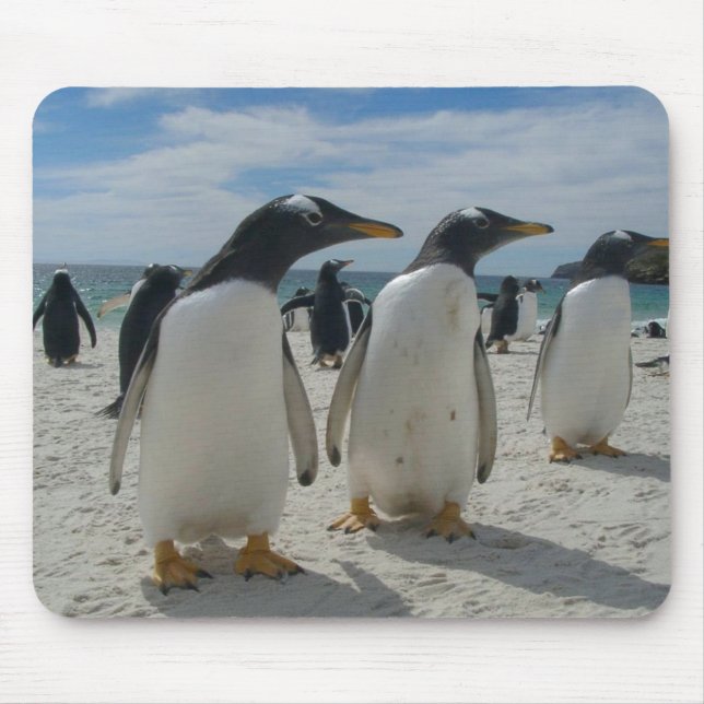 Tapis de souris 19 d'oiseau (Devant)