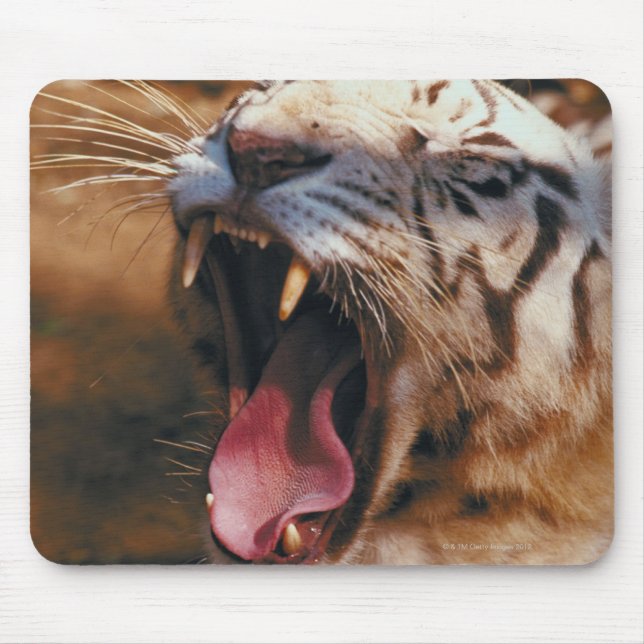 TAPIS DE SOURIS 23899234 (Devant)