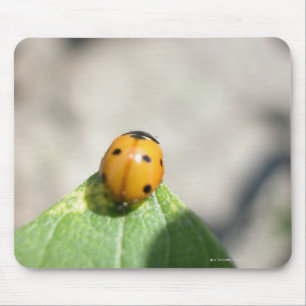 TAPIS DE SOURIS 24102386