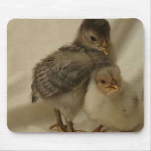 Tapis De Souris 2 poussins bleu-gris