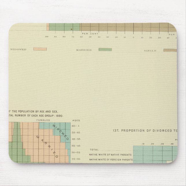 Tapis De Souris 32 Condition conjugale, divorcé 1890 (Devant)