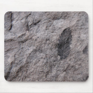 Tapis De Souris 350 Millions D'Yr. Imprimer photo fossile vieux Pl