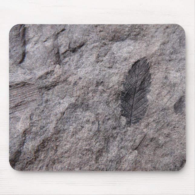 Tapis De Souris 350 Millions D'Yr. Imprimer photo fossile vieux Pl (Devant)
