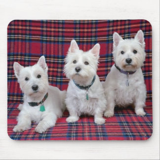 Tapis De Souris 3 Westies