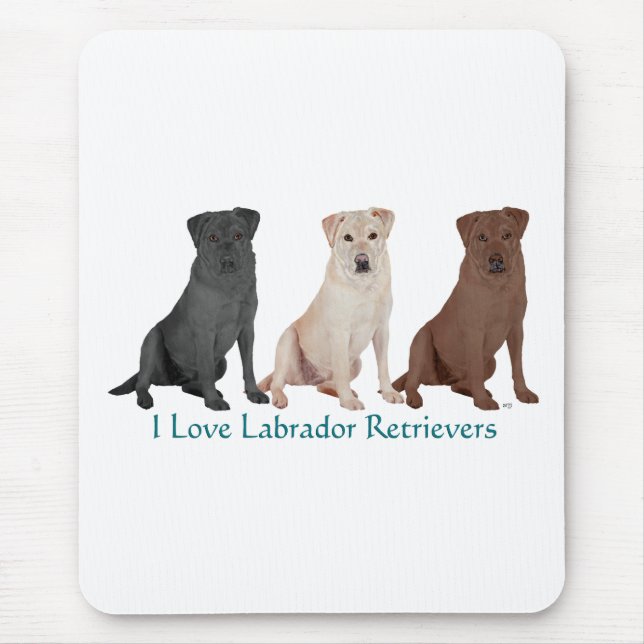 Tapis De Souris 3Labs (Devant)