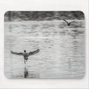 Tapis De Souris 4297-Cormorant décolle de l'étang