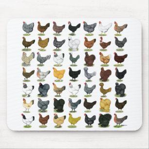Tapis De Souris 49 poules de poulet