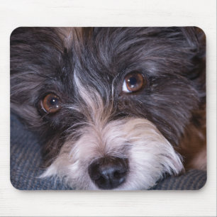 Tapis De Souris 5402-Merry Anna le chien papijack