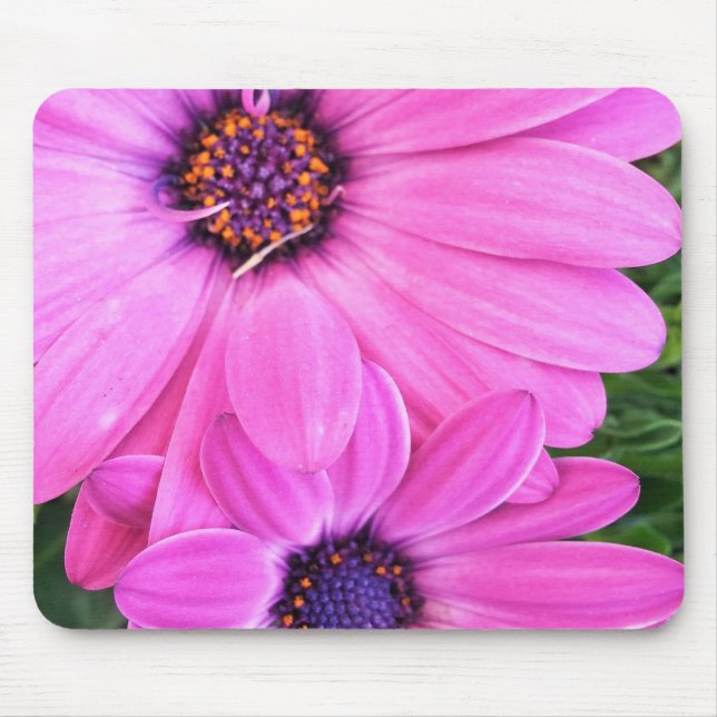Tapis De Souris À l'intérieur de rose pourpre Gerbera Fleur de mar (Devant)
