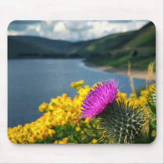Tapis De Souris A lone thistle overlooking Megget Reservoir Mouse