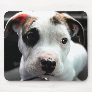 Tapis De Souris À l'os de pitbull de chiot