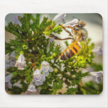 Abeille affairée travaillant dur
