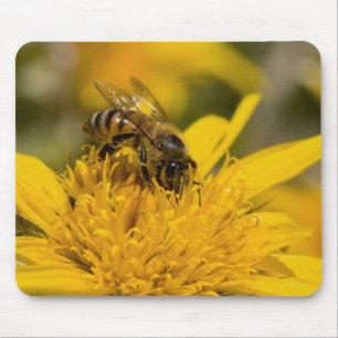Tapis De Souris Abeille Africaine Avec Sacs De Pollen En Train De