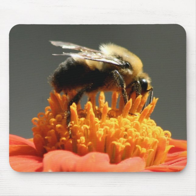 Tapis De Souris Abeille sur la fleur orange (Devant)