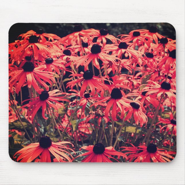 Tapis De Souris Abstrait Rose Black Eyed Susan Flower Art (Devant)