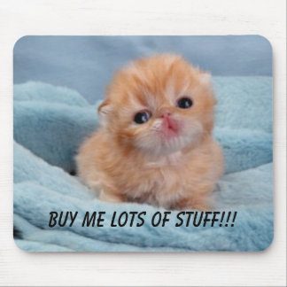 Tapis De Souris Achat pour le chaton mignon
