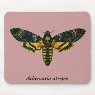 Tapis De Souris Acherontia atropos (Moelle Hawkmoth de la tête de 