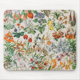 Tapis De Souris Adolphe Millot