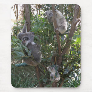 Tapis de souris Adoptez un koala Australie