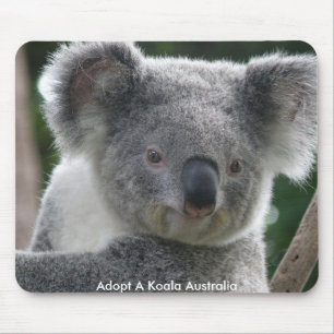 Tapis de souris Adoptez un koala Australie