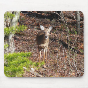 Tapis De Souris Adorable Cerf dans les Bois Photographie de la nat