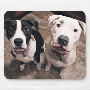 Tapis De Souris adorable chiot chien