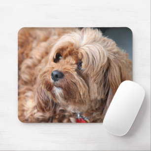 Tapis De Souris adorable chiot de chavoie sucrée