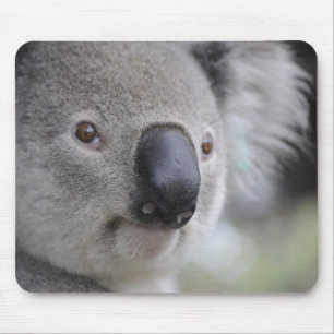 Tapis De Souris Adorable Ours Koala