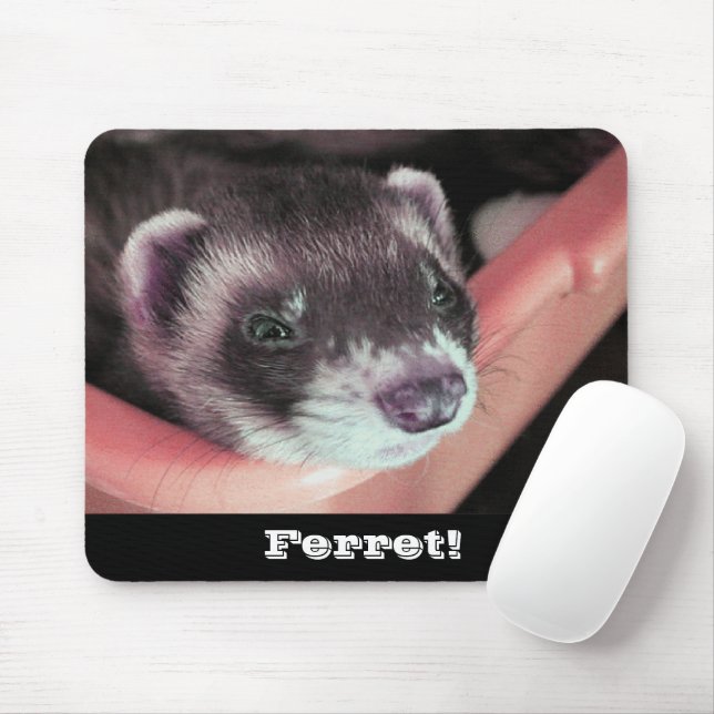 Tapis De Souris Adorable Sable Ferret Photo (Avec souris)