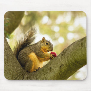 Tapis De Souris Adorable Souris d'écureuil